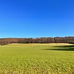 Rehkitz 2*