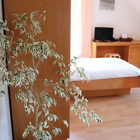 Rehkitz Halle (Westfalen)