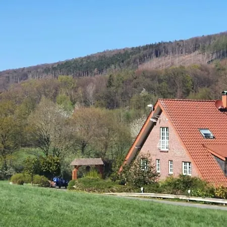 Отель Rehkitz 2*