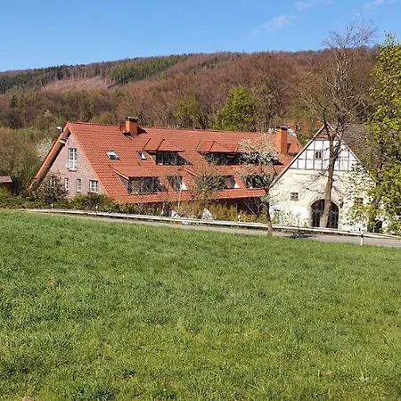 Отель Rehkitz 2*