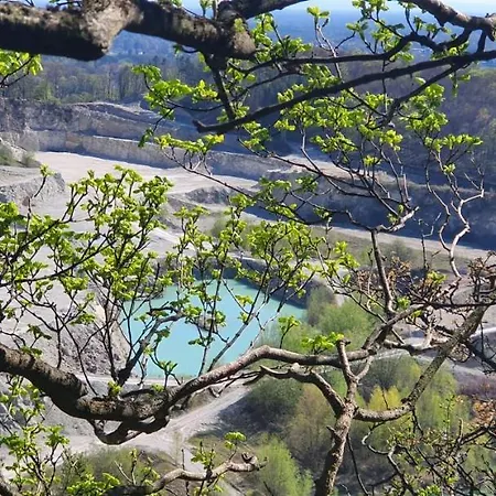 Rehkitz מלון Halle (Westfalen)