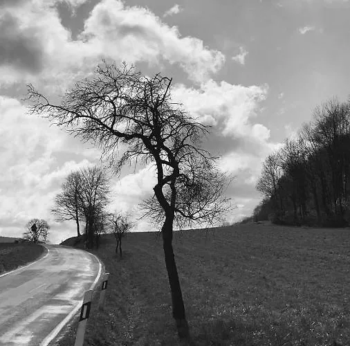 Rehkitz Lichtenau/Westfalen