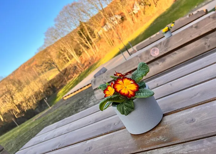 Rehkitz Lichtenau/Westfalen